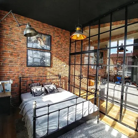 Loft 57 Centrum 올슈틴